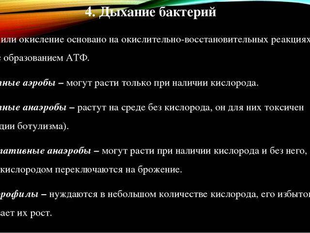Анаэробы википедия