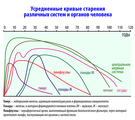 Биомаркер