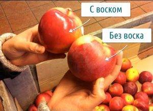 Признаки аллергии на яблоки