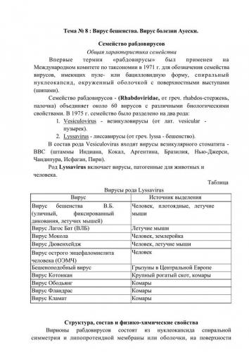 Бешенство – смертельная опасность. что делать, если укусила собака или другое животное?