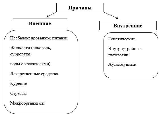 Болезнетворные бактерии — паразиты человека. где живут? какие вызывают болезни?