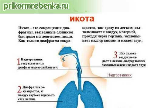 Икота – почему она возникает и как быстро от нее избавиться в домашних условиях? причины икоты у взрослых, у новорожденных после кормления, у беременной женщины и у плода. средства от икоты. как остановить после алкоголя?