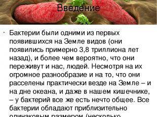 Польза и вред бактерий для человеческого организма