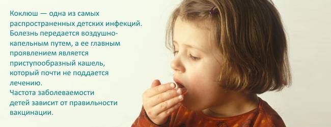 Признаки и симптомы коклюша у детей: лечение, осложнения и профилактика заболевания