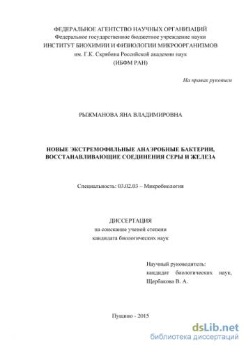 Анаэроб