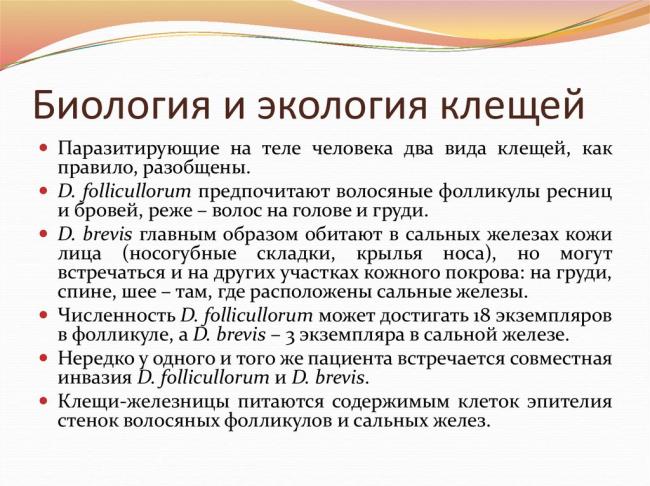 Диета при демодекозе: разрешенные и запрещенные продукты, примерное меню