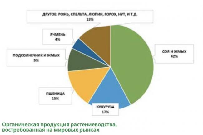 Кулинарная глобализация | социальная сеть работников образования