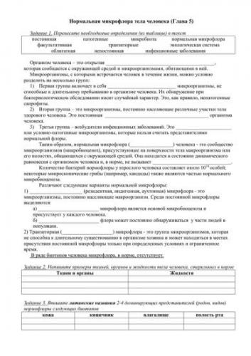 Бактерии ротовой полости: виды, места скопления и причины размножения