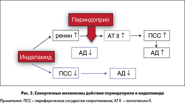 Ко-перинева: инструкция по применению, цена, отзывы, аналоги и показания
