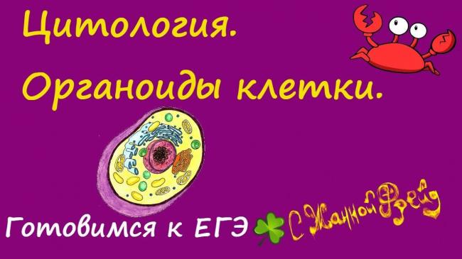 Определяющее значение ворсинок-фимбрий