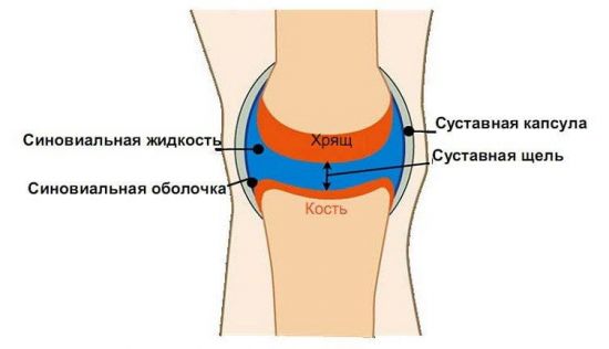 Эффективный хондропротектор дона порошок: инструкция по применению, цена, отзывы, аналоги препарата