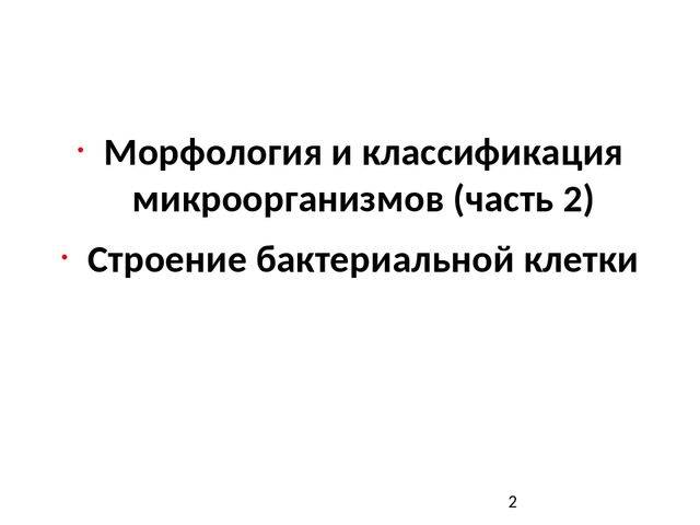 Чем и как отличаются бактерии от простейших