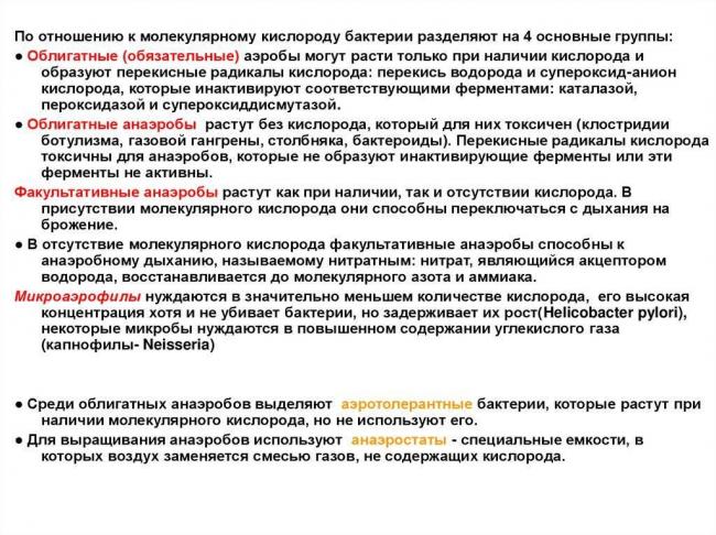 Анаэробные организмы