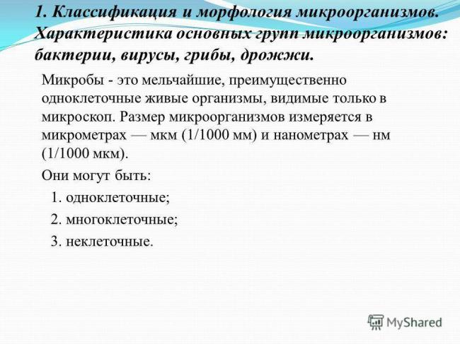 Классификация бактерий берджи