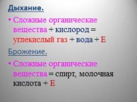 Бактерии анаэробные