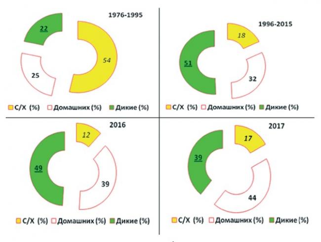 Бешенство - причины, симптомы, диагностика, лечение | eurolab | инфекционные болезни