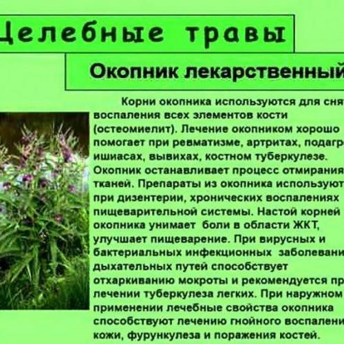 Как заварить подорожник от кашля для детей