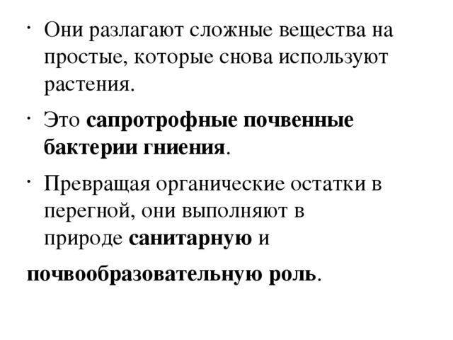 Бактерии и их значение в жизни растений