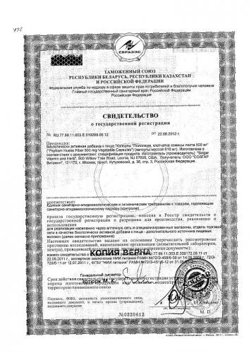 Псиллиум: мощный энтеросорбент и не только!