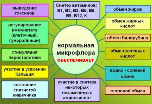 "лбб лакто- и бифидобактерии": инструкция, отзывы, особенности применения препарата