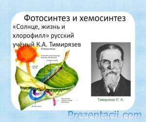 Фотосинтез