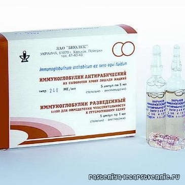 Иммуноглобулин антирабический из сыворотки крови человека