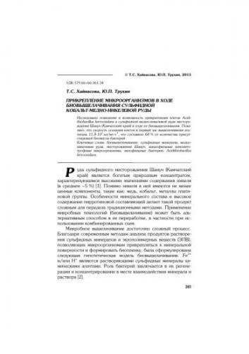 Термофильные бактерии: польза и вред для человека