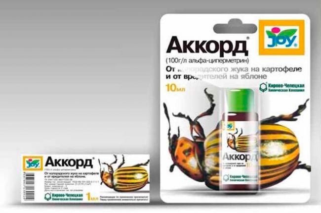 Как избавиться от медведки - самые лучшие методы и средства