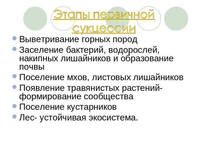 Анаэробные бактерии википедия