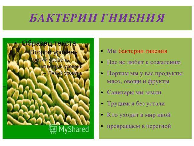 V международный конкурс научно-исследовательских и творческих работ учащихся
старт в науке