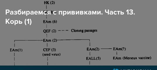 Как измерять манту: какие результаты могут быть и что они означают?