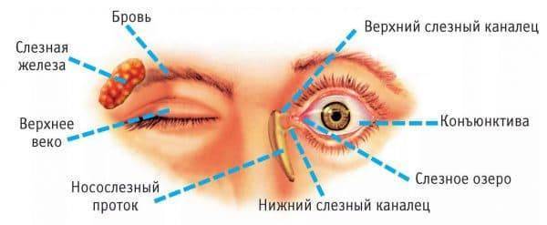 Воспаление века глаза народные средства