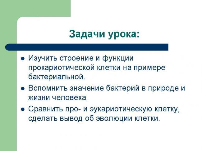 Роль бактерий в природе и жизни человека