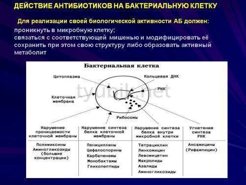 Инструкция по применению лекарственного средства для лечения бактериальных инфекций Кобактан cobactan