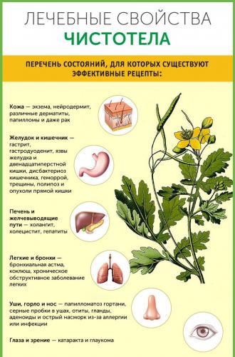 Крем сабельник форте: инструкция по применению