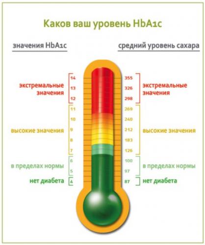 Роль гемоглобина в процессе газообмена