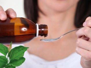 Лечение бронхита подорожником: народные рецепты