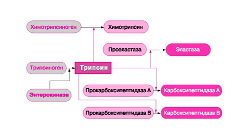 Серрата