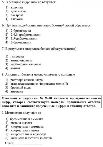 Углеводы и их роль в жизнедеятельности клетки