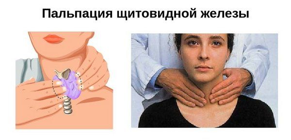 Неоднородная структура щитовидной железы: что это такое