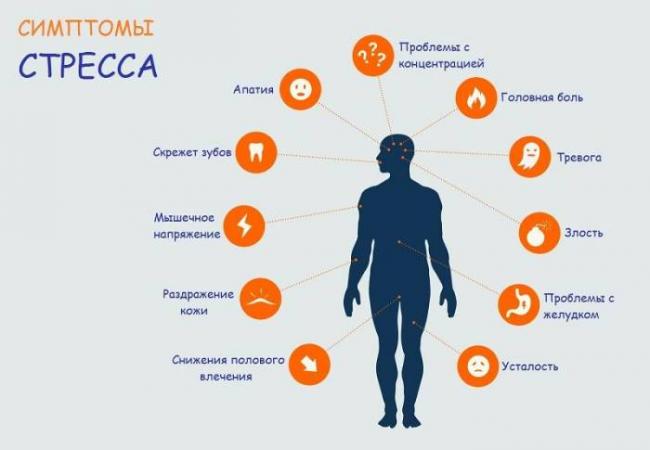 Гормон стресса кортизол