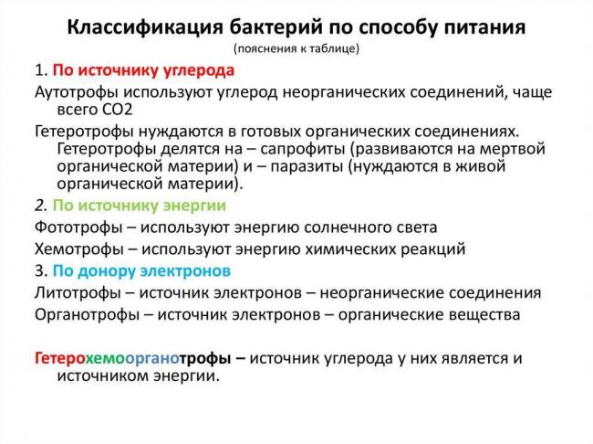 Откуда берется энергия нитрифицирующих бактерий?