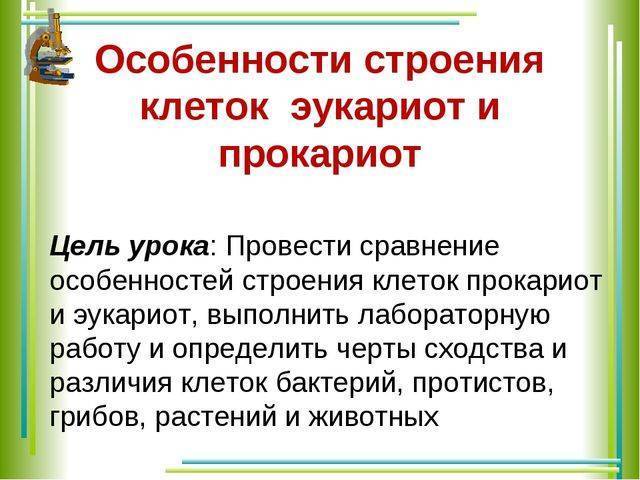 Бывают ли хромосомы у бактерий?