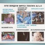 Можно ли заразиться гепатитом C бытовым путем?