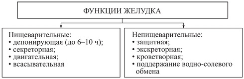 О чем говорит постоянное чувство голода