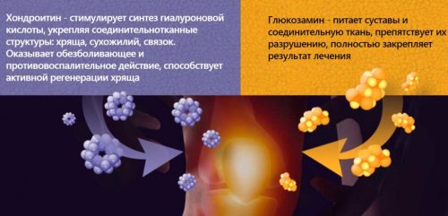 Хонда Эвалар: отзывы, инструкция, стоимость