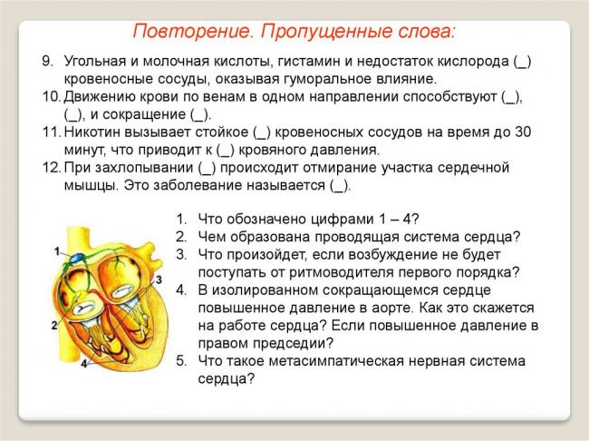 Кровяное давление - blood pressure