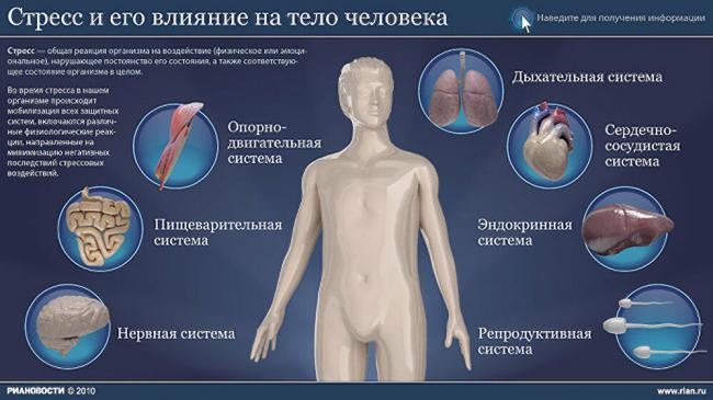 Кортизол: что делать, если гормон стресса повышен
