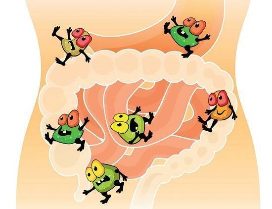 Bifidobacterium longum