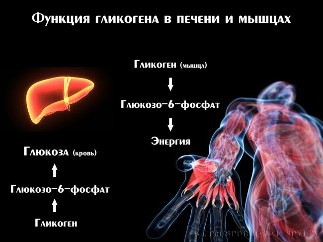 Спортивная диета для сжигания жира для женщин, для мужчин, меню